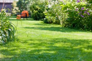 travaux jardin et paysage Wintzenheim